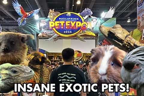 PHILIPPINE PET EXPO 2024 TOUR (Best exotic pet expo?)