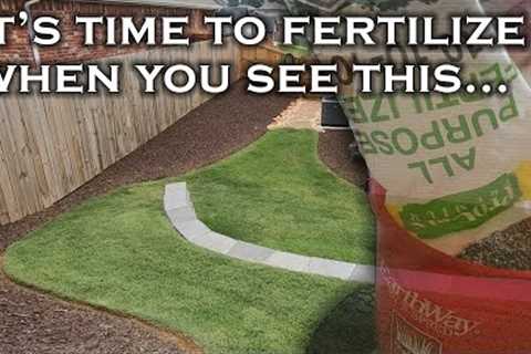 How to easily know when to fertilize your lawn just by looking at it. 3 telltale signs it's time.