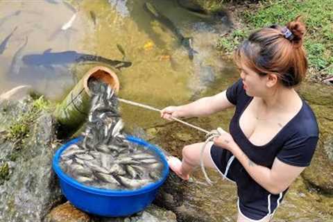 Unique fish trap of bamboo pipes, warming water. Survive in the natural forest.