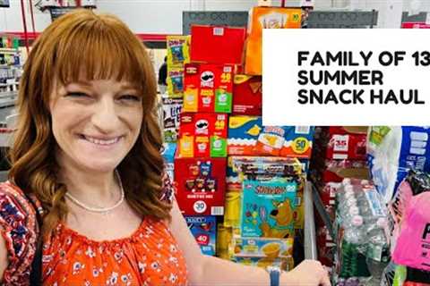 FAMILY OF 13 SUMMER SNACK HAUL