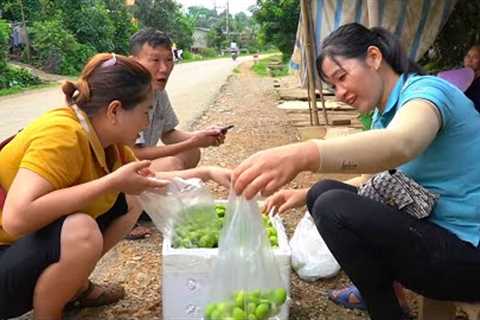 Journey Together we harvest canarium fruit to sell. Life building diary - Forest life skills