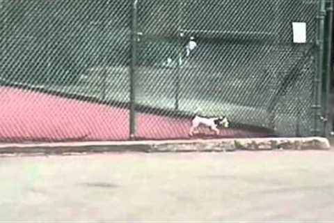 Hilarious tennis tournament fails compilation