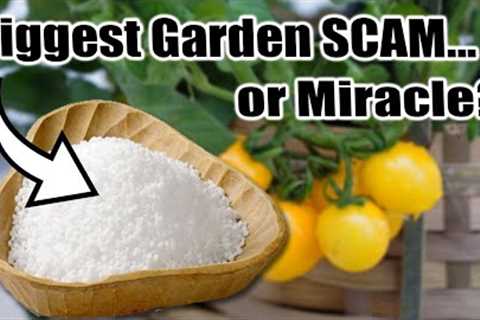Hidden Dangers of EPSOM SALT in the Garden