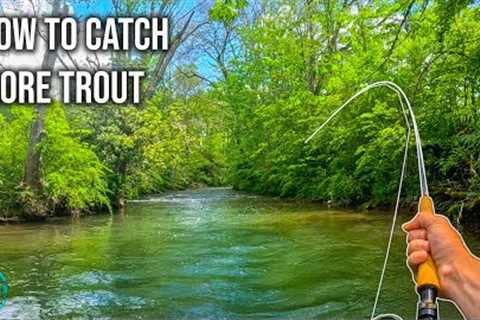 How to Catch More Trout! (Fly Fishing for Big Brown Trout)