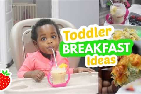 TODDLER BREAKFAST IDEAS | MEAL IDEAS FOR TODDLERS &amp; KIDS
