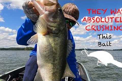 Bass fishing on LAKE GUNTERSVILLE