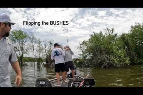 Fishing the BRAND NEW Bois D'Arc Lake!! - Once in a Lifetime Opportunity - They in the BUSHES!!!
