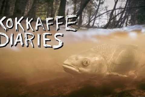 Fly Fishing for Diamond Orfe.