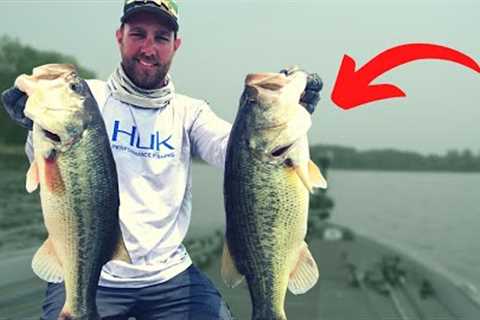 Start FINDING Bass FASTER Than Your Friends (Bass Fishing Tips)