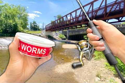 Eating Whatever I Catch.. Creek Fishing w/ WORMS (Catch and Cook)