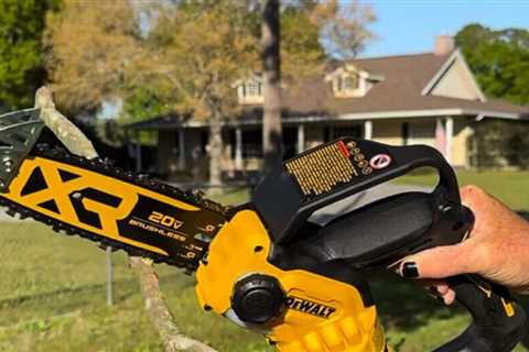 5 Best Mini Chainsaws, Tested and Reviewed
