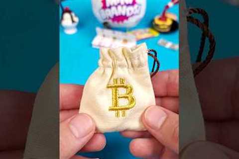 The Mini Brands Bitcoin Bag Is Real! #shorts #minibrands #bitcoinbag