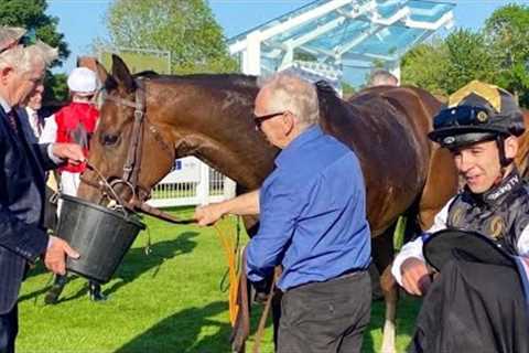 Cracking start! More to come from Racing TV syndicate horse LIR SPECIALE