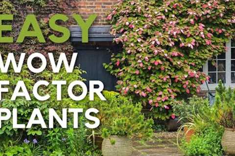 Early summer garden tips &amp; tour - no-fuss, easy wow factor plants..