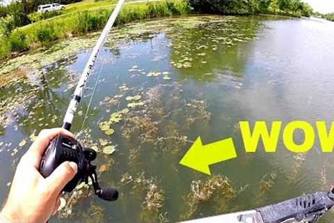 BASS FISHING a Small Lake with HUGE Potential!!!