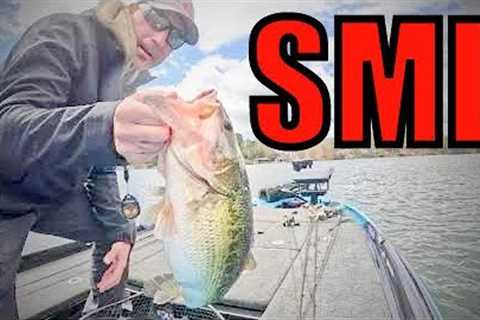 Smith Mountain Lake Prespawn CHUNKS!