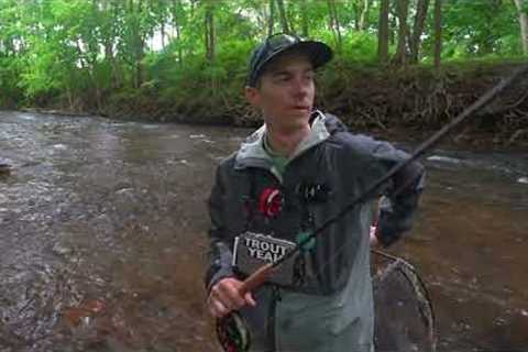 My Everyday Fly Fishing Gear - Simplistic Approach