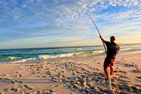South Coast Beach Fishing The search for the elusive Mulloway