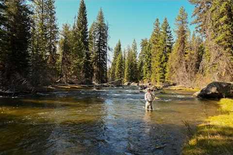 Fly Fishing Idaho’s Hidden Backcountry Stream | Can We Find Fish?
