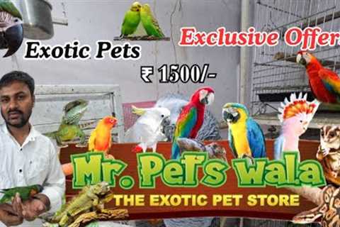 Exotic Pets shop in Mumbai / All Exotic birds / freefly birds /  Animal ,Birds / Hrutik kadam