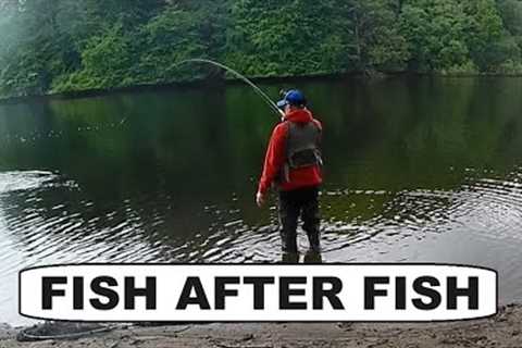 240. Record Hook Up on 2 Trout Flies - Fly Fishing UK
