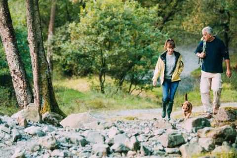 Five dog-friendly UK summer holiday destinations