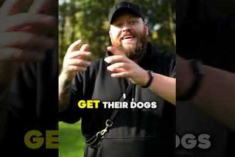 This Quick Dog Training Tip Is So Important
