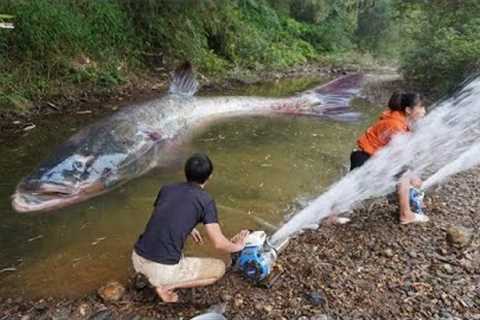 Wild Fishing Exciting, Easy Catch Big Fish With Two Large Pump Cannon Sucks Water Out Of Wild Lake