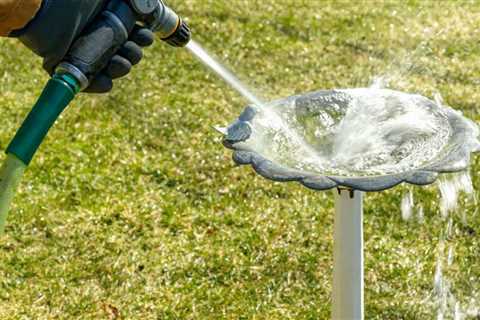 How to Clean a Birdbath the Right Way