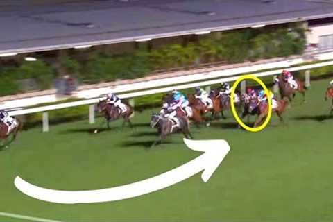 5 CRAZY Horse Racing Moments You Won't Believe