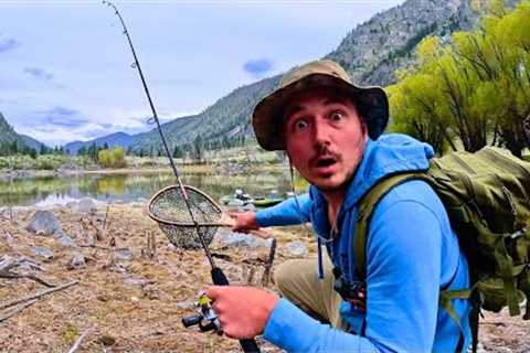Fishing a TINY LAKE filled with GIANT TROUT!!!