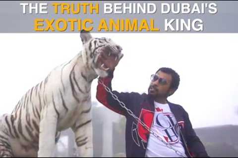 HUMAID ALBUQAISH, The Truth Behind Dubai's Exotic Animal King 2021