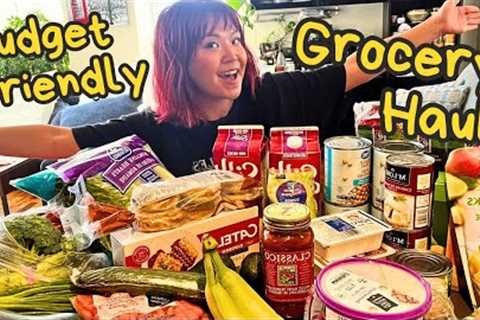 How Much Do Vegan Groceries Cost in 2024?! 😱 (Budget Friendly Vegan Grocery Haul!)