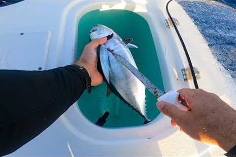 I turn a fish into DIP! {Catch and Cook}