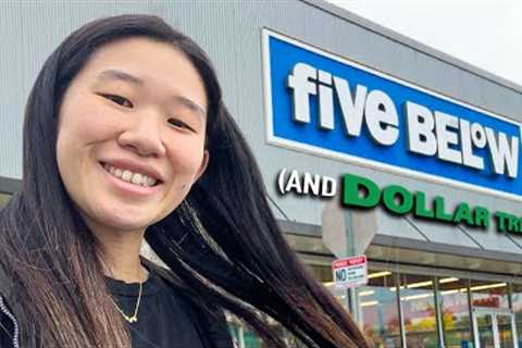 Let's go shopping at Five Below and Dollar Tree!!!!