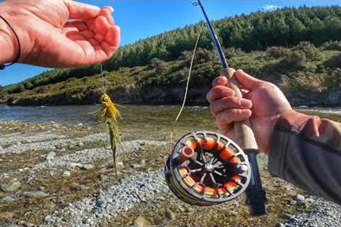 Big Streamer, Cicadas and Blow Flys Save the Day, Fly Fishing Challenge’s