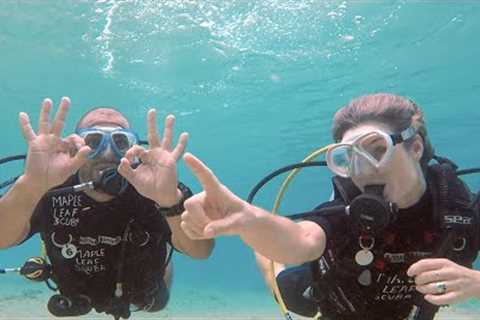 Discover Scuba Diving with Maple Leaf Scuba in Cozumel, Mexico