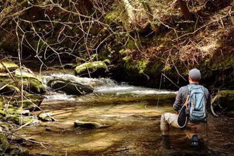 Untamed Waters - Fly Fishing for Wild Trout in the Catskill Mtns (Part 1)