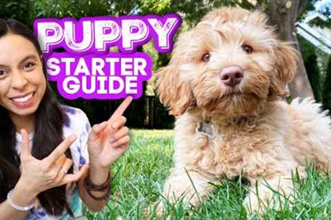 FIRST DAYS WITH NEW PUPPY! 🐶 Everything you need to know and do