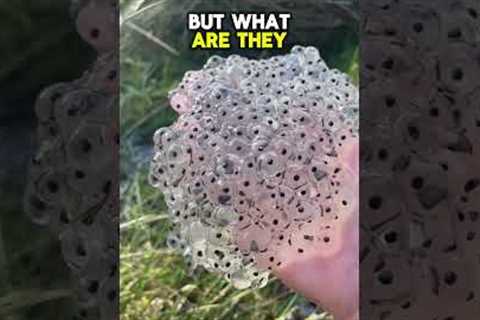 DO NOT Eat These 😨 #viral