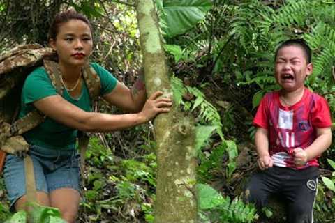 Helping an abandoned child, building a house in the mountains, survival life | Phượng Pú