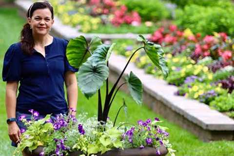 Creating an Eye-Catching Container In the Signature Garden