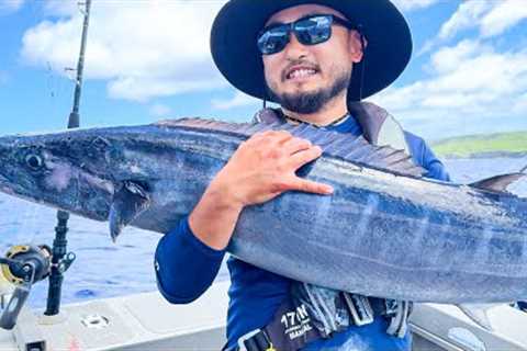 One of the BEST EATING FISH | Tropical Island Catch and Cook