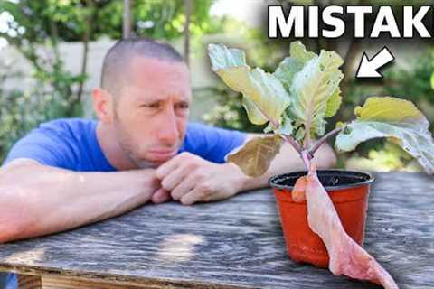 You’re Killing Your Plants if You Do This, 10 MISTAKES You Can’t Afford to Make in the Garden