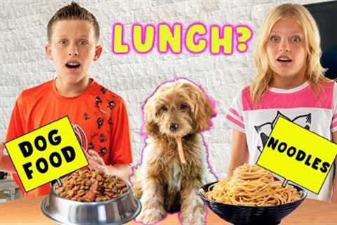 Puppy Chooses What We Do All Day!