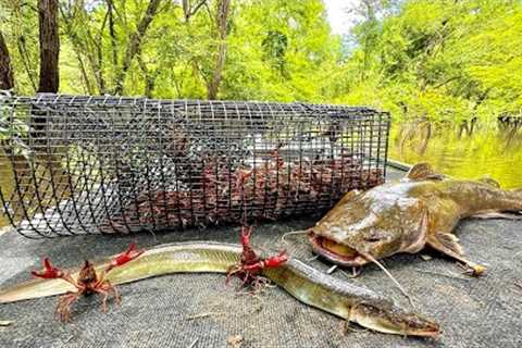 Crawfish, Eels and Catfish Catch &amp; Cook (The Swamps most Prized Delicacies)
