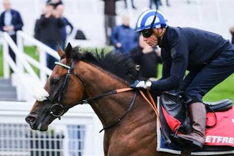 The 2024 Betfred Derby Festival gallops morning at Epsom - get the inside track from connections