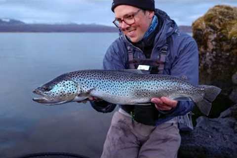 How I retrieve my flies. Catch big trout in all seasons