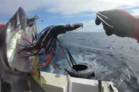 Saltwater Trolling Tips for Less Experienced Fishermen