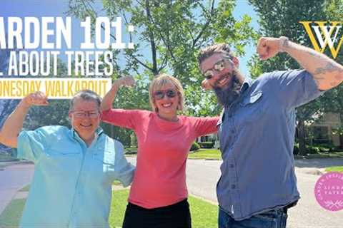 Gardening 101: Everything You Need To Know About Trees